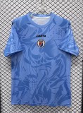 2026 Haiti Blue GoalKeeper Fans Soccer Jersey