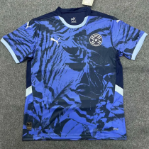 24-25 Paraguay Away Fans Soccer Jersey 24-25 Paraguay Away Fans Soccer Jersey
