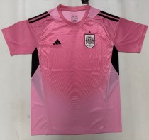 2026 Spain Pink GoalKeeper Fans Soccer Jersey