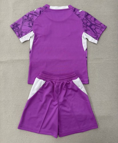 26-27 PSV Purple GoalKeeper Adult Suit