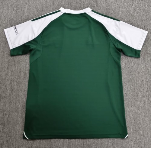 26-27 Celtic Special Edition Fans Soccer Jersey