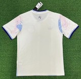 25-26 Aston Villa Third Europa League Champion Edition Fans Soccer Jersey