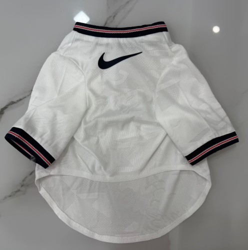 2026  England Home Pet Player Version Jersey