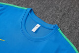 26-27 Brazil High Quality Training Short Suit