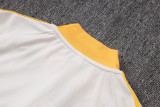 26-27 Bayern High Quality Half Pull Tracksuit