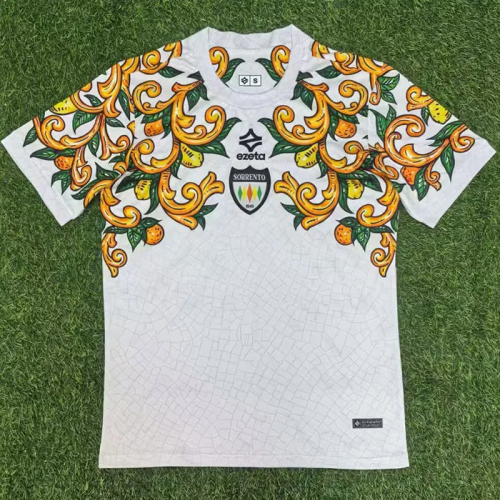 25-26 Sorrento Calcio 1945 Away Fans Soccer Jersey
