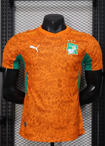 2026 Cote d'Ivoire Home Player Version Soccer Jersey