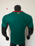 2026 Senegal Away Player Version Soccer Jersey (With 2 Star)*两颗星