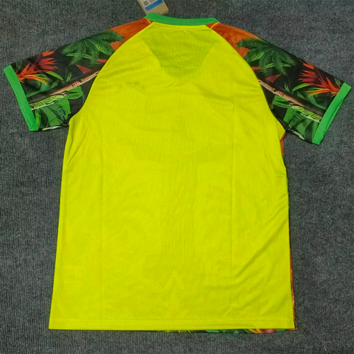 25-26 Brazil Red Yellow Green Special Edition Training shirts