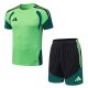 2026 AD Green High Quality Player Version Training Short Suit (球员套装)