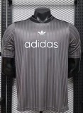 2026 AD Grey Player Version Training shirts