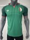 2026 Algeria Away Player Version Soccer Jersey*两颗星