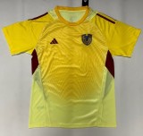 25-26 Venezuela Yellow Goalkeeper Fans Soccer Jersey