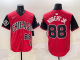 2025 MLB Chicago White Sox New Pattern Jersey