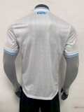 25-26 Napoli UEFA CL Away Player Version Soccer Jersey   (欧冠版)