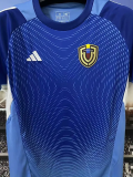 25-26 Venezuela Blue Goalkeeper Fans Soccer Jersey