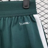2026 World Cup Saudi Arabia Home Player Version Shorts Pants (球员短裤)