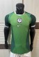 2026 Nigeria Home Player Version Soccer Jersey