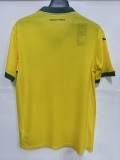 25-26 Palmeiras Third Fans Soccer Jersey*空白版