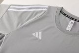 2024 AD Gray Training Short Suit