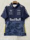 2025 F1 Red Bull New Pattern Short Sleeve Racing Suit