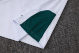 26-27 Italy High Quality Half Pull Tracksuit