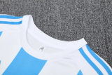 2025 AD White Blue Training Short Suit