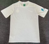 23-24 AL-Nassr Third Fans Soccer Jersey