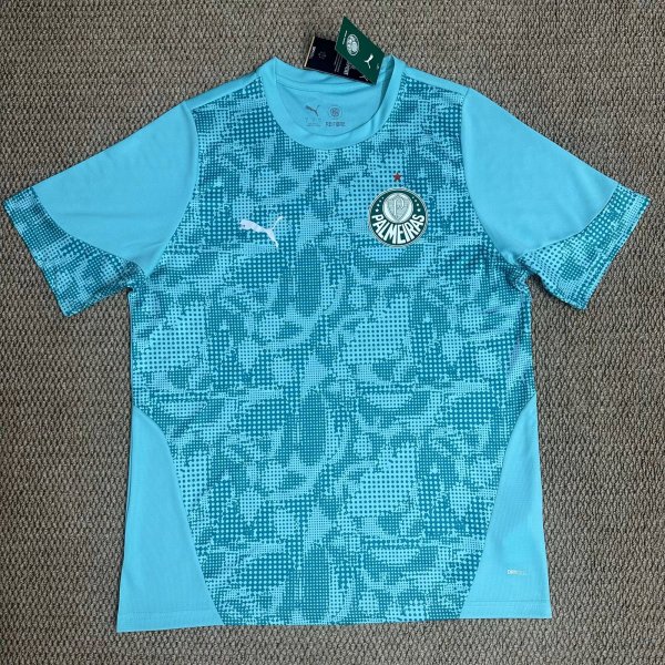 26-27 Palmeiras Training Shirts
