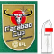 Carabao Cup 9 +OKX (卡拉宝9冠+左袖广告) Carabao Cup 9 +OKX (卡拉宝9冠+左袖广告)