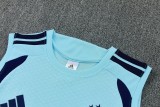 26-27 Argentina High quality Tank Top And Shorts Suit
