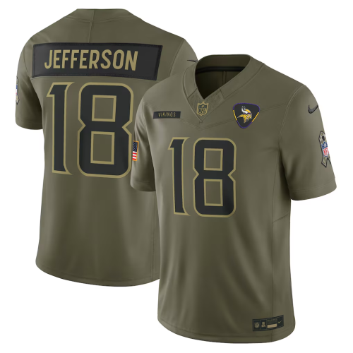 2026 NFL Minnesota Vikings New Pattern Jersey