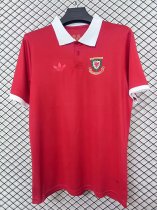 2026 Wales Red 150th Anniversary Commemorative Edition Fans Soccer Jersey