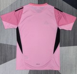 2026 Spain Pink GoalKeeper Fans Soccer Jersey (With 2 Star)*两颗星