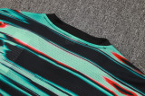 25-26 Portugal High Quality Training Short Suit