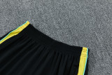 26-27 Brazil High Quality Training Short Suit