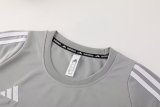 2024 AD Gray Training Short Suit