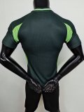 24-25 Algeria Green Special Edition Player Version Soccer Jersey