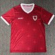 26-27 Wales Red Fans Soccer Jersey