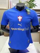 26-27 Palmeiras Third Player Version Soccer Jersey