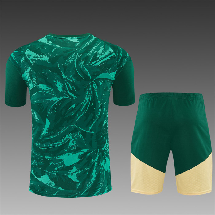26/27 Real Madrid Short sleeve Adult training suit green
