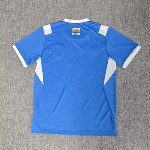 26/27 Cardiff City home football Jersey