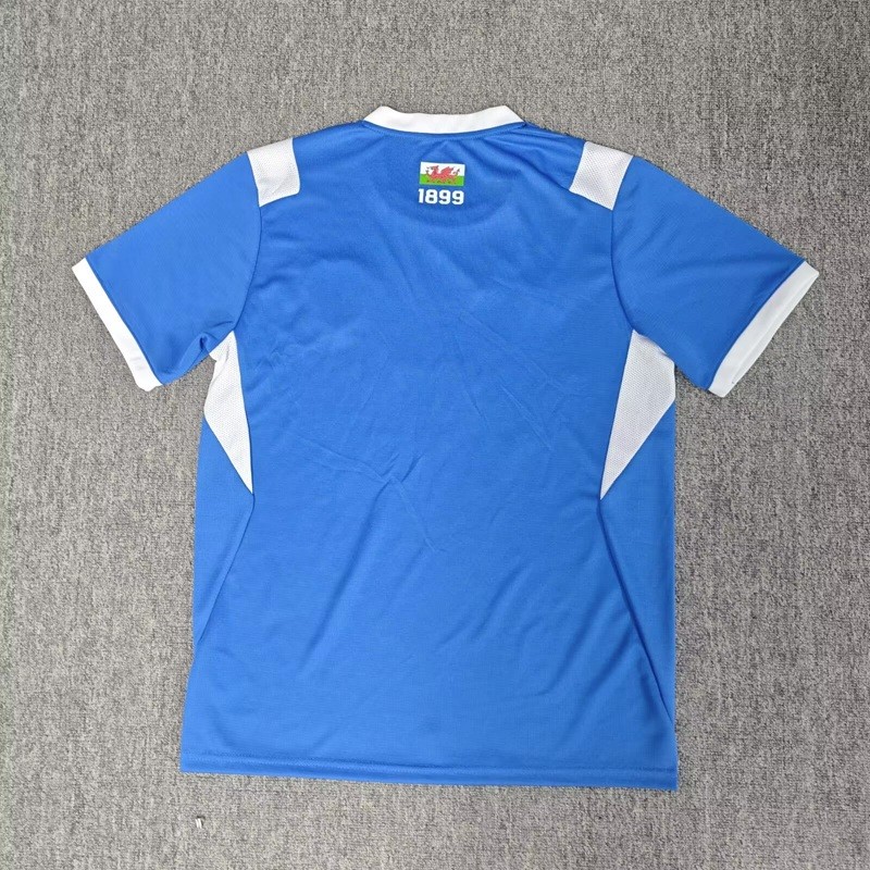 26/27 Cardiff City home football Jersey