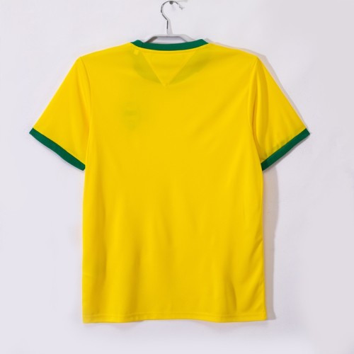 Retro brazil 1970 home