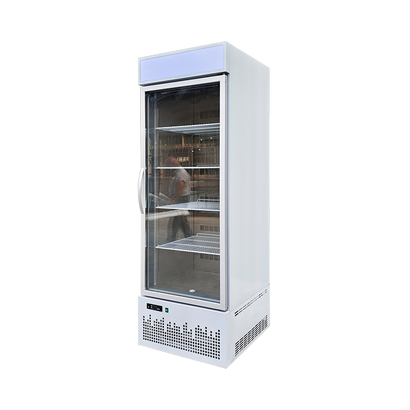 “This isn’t just a freezer—it’s a profit machine.” – Hotel Supply Pro, 2023