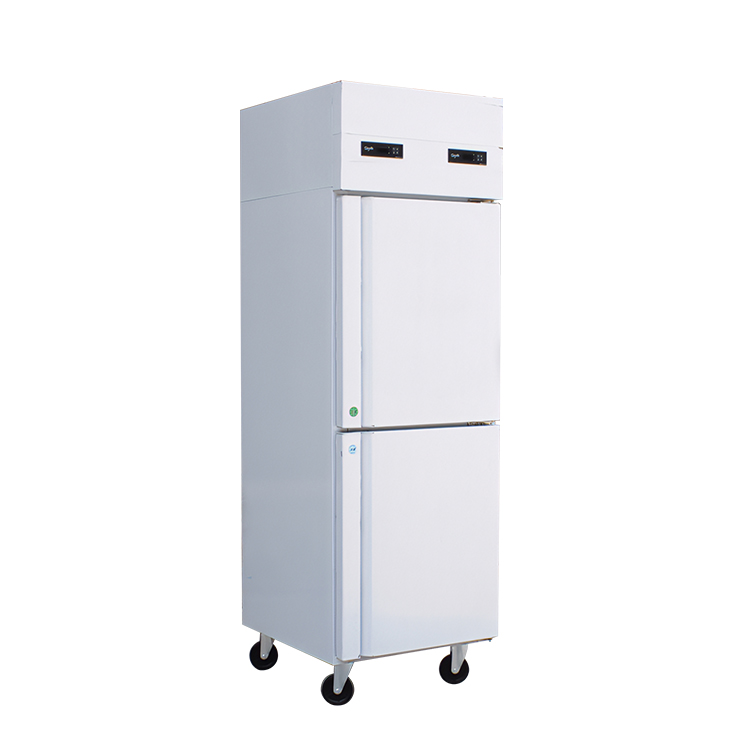Middle East Commercial Double-Door Frost-Free Refrigerated Display Cabinet Gains Momentum in Retail and Hospitality Sectors