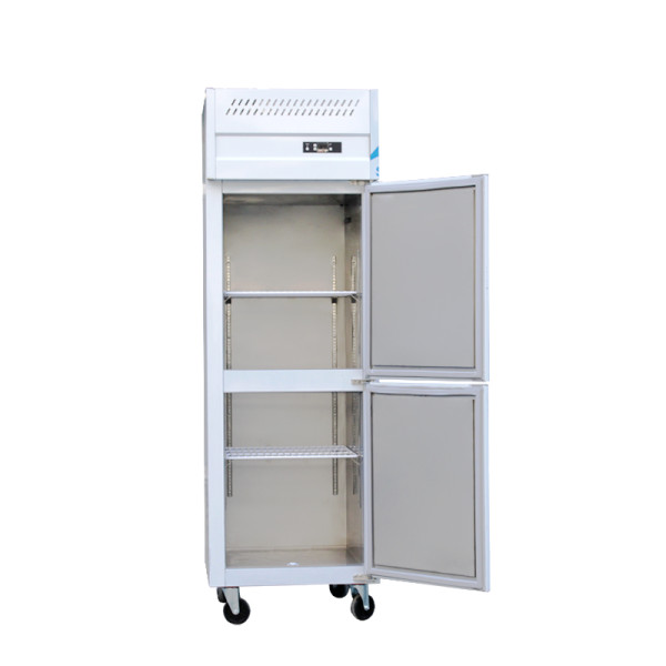 Commercial Standing Freezer with Defrost Function