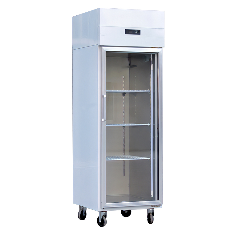 Australian Businesses Embrace Advanced Commercial Double-Door Frost-Free Refrigerated Display Cabinets for Enhanced Efficiency and Sustainability