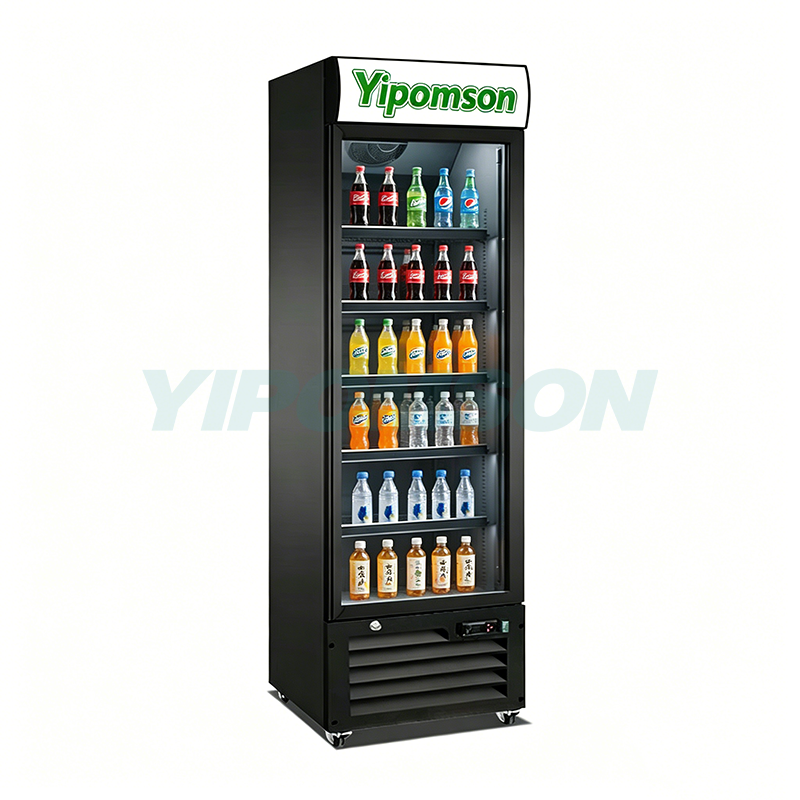 tall glass door fridge with LED canopy