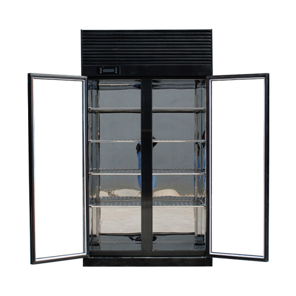 Double-Door Display Cabinet Refrigerator with Black Frame